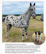 Load image into Gallery viewer, Equi-N-icE Stable Pack