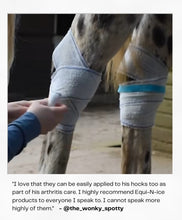 Load image into Gallery viewer, Equi-N-icE Stable Pack