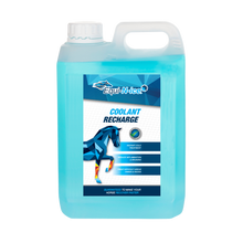 Load image into Gallery viewer, Equi-n-ice Rapid Cooler Rug Bundle