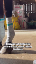 Load and play video in Gallery viewer, Equi-N-icE Stable Pack