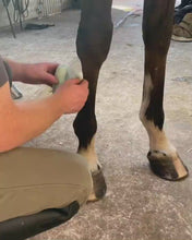 Load and play video in Gallery viewer, Equi-N-icE Reusable Cooling Bandage
