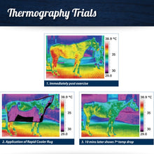 Load image into Gallery viewer, Equi-N-icE Rapid Cooler Rug